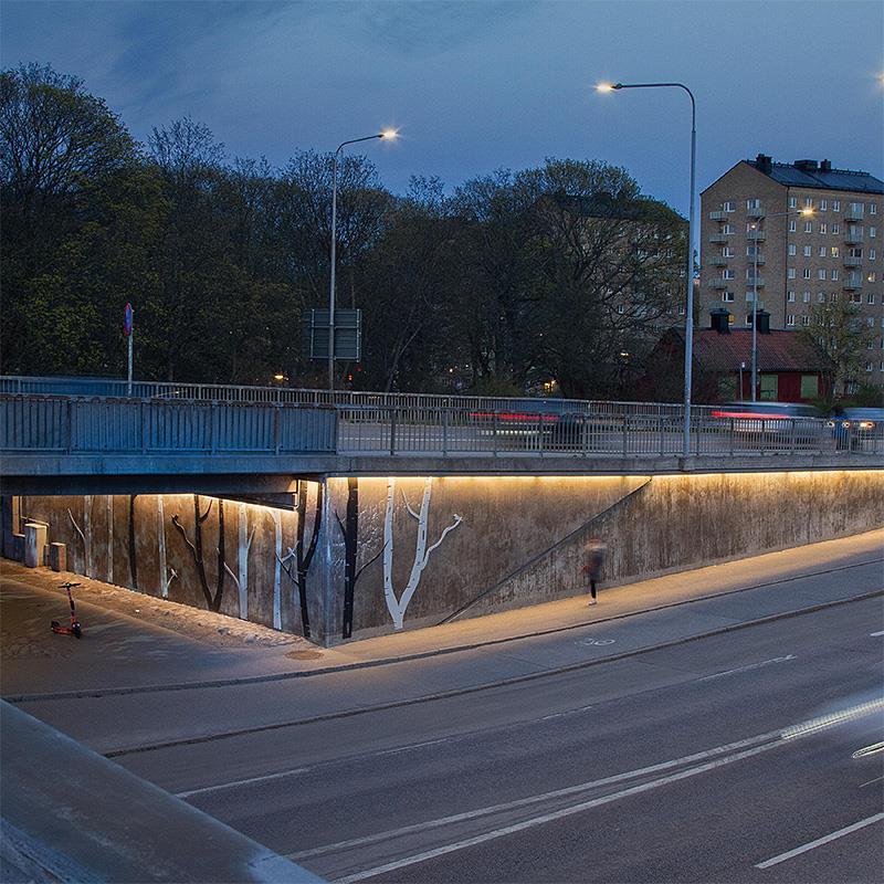 Projekt, Tunnelbelysning: Säkrare passage under Olaus Magnus Väg